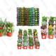 Succulent Gold Box | Amazon